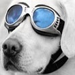 Avatar de l’utilisateur
