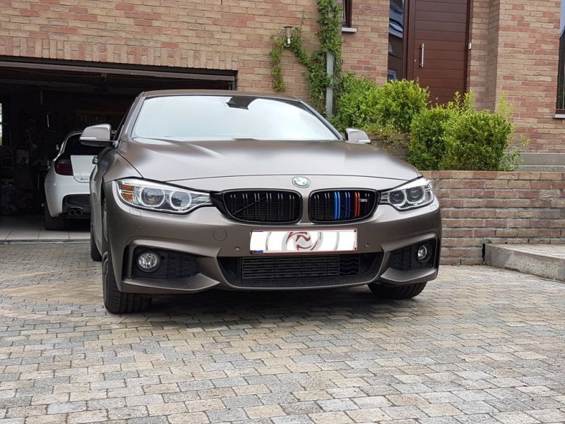 BMW-Serie-4-GC-Frozen
