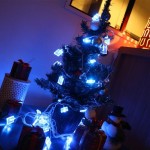 Sapin-2015