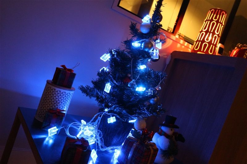 Sapin-2015