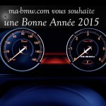 bonne-annee-2015